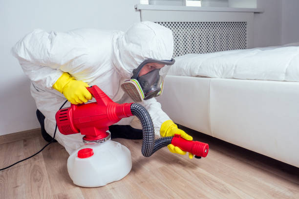 Best Pest Removal Services  in University, FL